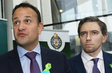 Harris says bullies have 'no right' to be in FG, calls on councillor with bullying claims to make complaint