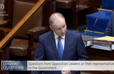 Terms of reference being finalised for An Bord Pleanála decisions review, says Taoiseach