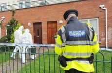 Two arrested over Mulhuddart stabbing