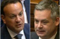 Varadkar's Dáil comments 'degraded' everyone who's made mistakes in their past, says Senator
