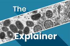The Explainer: What's being done to stop the spread of monkeypox?