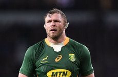 Springboks recall 'massive' Vermeulen for All Blacks rematch