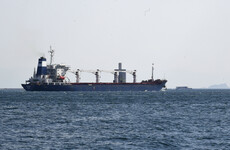 First Ukrainian grain ship docks in Turkey after being turned away