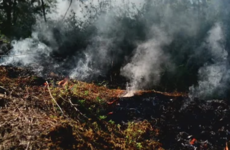Six EU countries send firefighters to help battle French wildfires