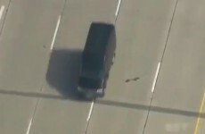 Nailbiter of the Day: Ducks crossing a five-lane motorway