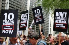 Julian Assange case raises media freedom concerns, says UN rights chief