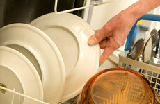 Using household appliances outside peak hours will help shore up energy security, says Ryan