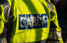 Appeal for witnesses after man (80s) dies in Limerick road collision