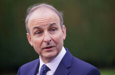Taoiseach's flight from Dublin to New York forced to return to Ireland due to a bird strike