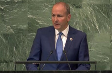 Ireland 'deeply frustrated' at Security Council’s failure to act on Russia, Palestine and climate change
