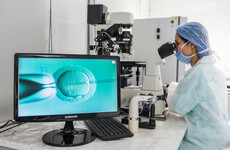 IVF publicly funded through private clinics won't start until September 2023