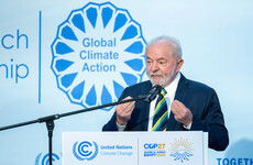 'Brazil is back': President-elect Lula vows to fight deforestation at COP27