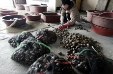 South Korea splashes out on floating toilets at shellfish farms