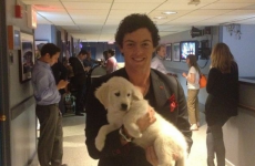 The sporting tweets of the week: Rory meets a new friend