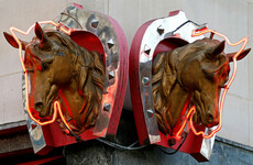 Butchers on trial in France over alleged horsemeat fraud