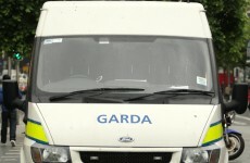 Six arrested as cannabis plants seized in Galway