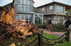 Toddler among dead as New Zealand cyclone death toll reaches eight people