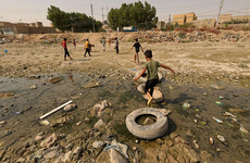 Iraq to plant 5 million trees to combat severe impacts of climate change
