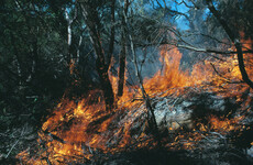 Diplomats and scientists meet to approve major report on state of the climate