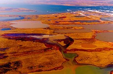 Biden administration approves oil drilling project in Alaska despite environmental concerns