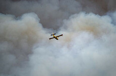 Strong winds drive early wildfire destroying forestry in Spain