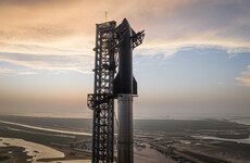 Elon Musk's SpaceX postpones launch of mammoth Starship rocket