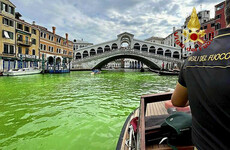 Stretch of Venice's Grand Canal turns bright green