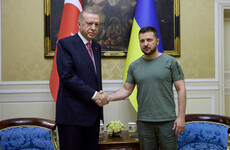Zelensky wins Erdogan's NATO backing after securing US cluster bombs