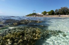 Laziest holiday ever? Google brings you scuba diving
