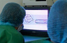 Couples can avail of publicly-funded IVF from September, but age and BMI limits will apply