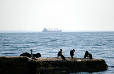 Ukraine says ships in Black Sea will be targeted as Russia continues bombing ports