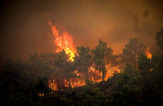 Irish citizens warned to 'stay away' from areas struck by Rhodes wildfires as 30k people evacuated