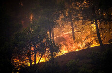 Over 2,000 evacuated from Corfu as Greece's largest-ever wildfire evacuation continues