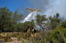 Two killed after plane crashes while battling wildfires on Greek island of Evia