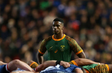 Springboks provide update after Williams concussed 10 seconds into Pumas game