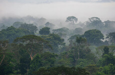 Brazil's president Lula says the 'world must help' his country save the Amazon