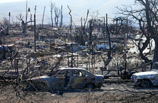 Recovery crews likely to find 10 to 20 more victims per day from Hawaii wildfire, governor says