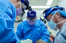 Pig kidney still functioning in human patient more than a month after transplant