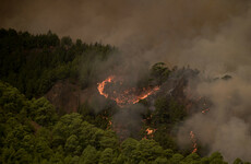 Firefighters battle 'out of control' Tenerife wildfire that has burned through 5,500 acres