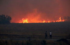 Death toll from this week's Greek wildfires hits 20 as firefighters battle to contain new blazes