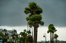 Drenched but alive, Floridians survey hurricane damage