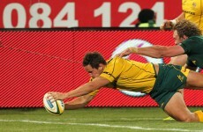 Springboks run Wallabies ragged for big win