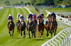 Government won't exempt horse-racing TV channels from ban on daytime gambling ads