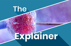 The Explainer: How will Ireland's new publicly funded IVF scheme work?