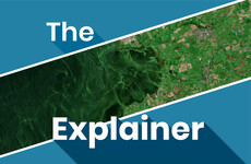 The Explainer: Lough Neagh has been hit by an algal bloom disaster - what’s happening?