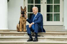 Joe Biden's dog Commander removed from White House after biting staff
