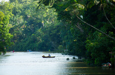 Deforestation in Brazilian Amazon fell by 59% in September compared to the same month last year