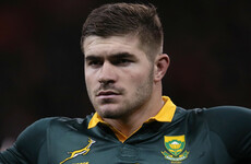 Injured Springbok Marx to miss Japanese club season