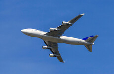 Cargo plane forced to return to New York after horse escapes from stall on board