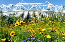 No Welford Road but Wembley, Olympic Stadium on Rugby World Cup venue list